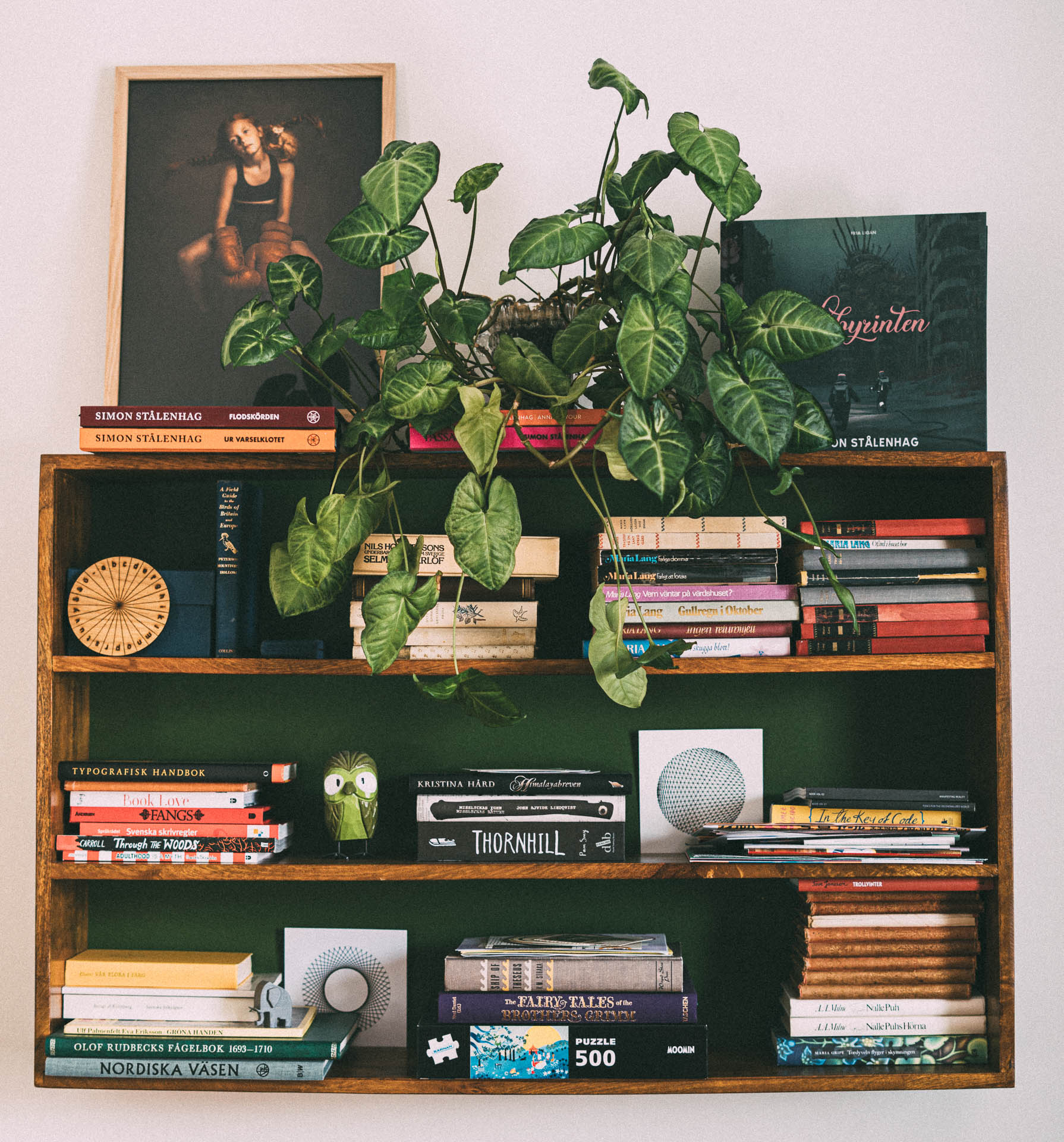 A walled hanged bookshelf filled with books and ornaments. It is made of dark, solid wood; the back is painted in a kombu green color.