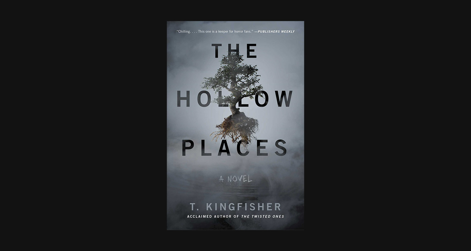 Omslaget till boken The Hollow Places.
