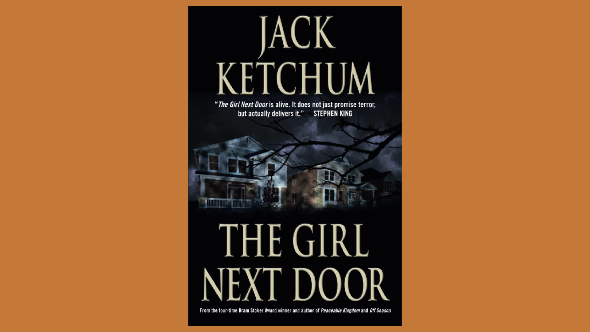 Omslagsbild till boken The Girl Next Door. Två typiskt amerikanska hus, en mörk och stormig natt. I förgrunden skymtas grenar från ett träd.